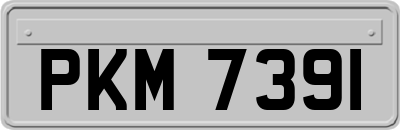 PKM7391