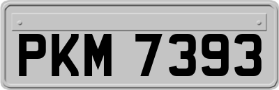 PKM7393