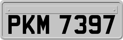 PKM7397