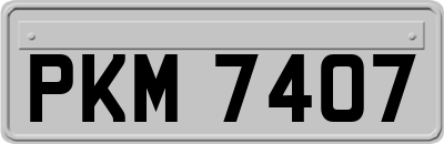 PKM7407