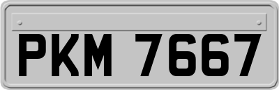 PKM7667