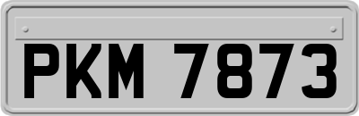 PKM7873