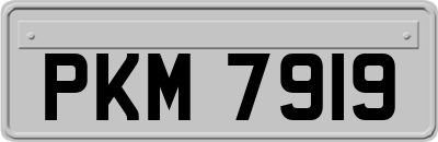 PKM7919