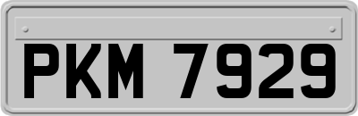PKM7929