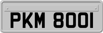PKM8001