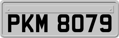 PKM8079