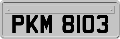 PKM8103