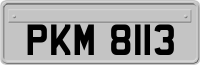 PKM8113