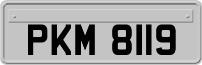 PKM8119