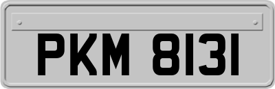 PKM8131