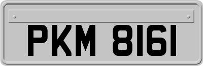 PKM8161