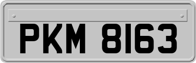 PKM8163