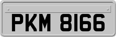 PKM8166