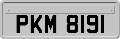PKM8191