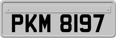 PKM8197