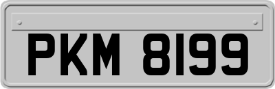 PKM8199