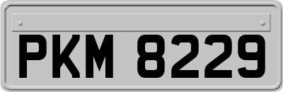 PKM8229