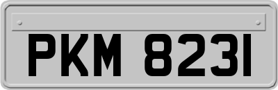 PKM8231