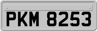 PKM8253