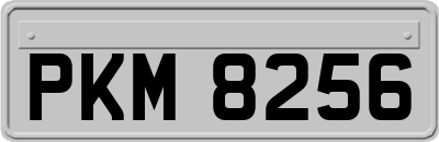 PKM8256