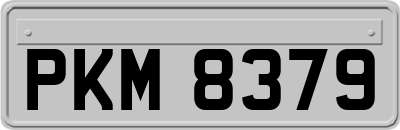 PKM8379