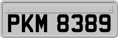 PKM8389