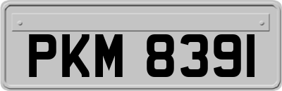 PKM8391