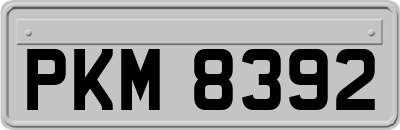 PKM8392