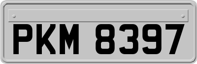 PKM8397
