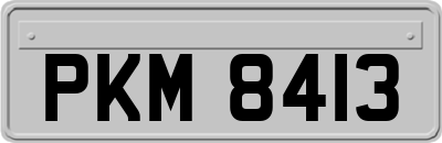 PKM8413