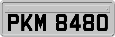 PKM8480