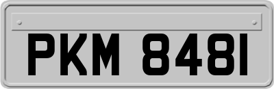 PKM8481