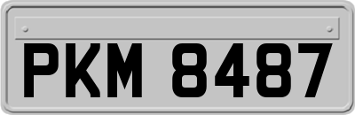 PKM8487