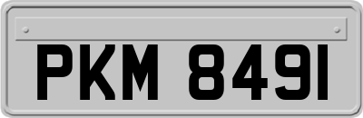 PKM8491