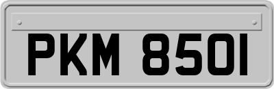PKM8501