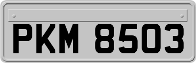 PKM8503