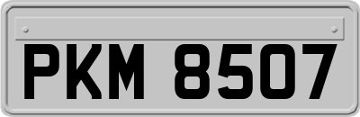 PKM8507