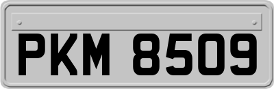 PKM8509