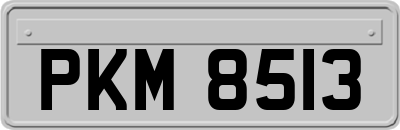 PKM8513