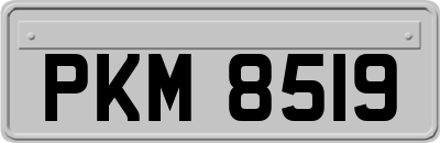 PKM8519