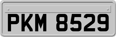 PKM8529