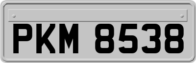 PKM8538