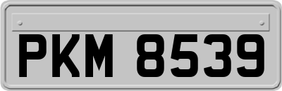 PKM8539