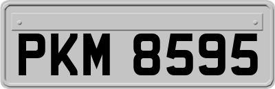 PKM8595