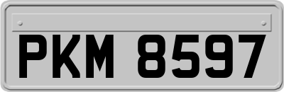 PKM8597