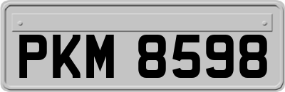 PKM8598