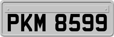 PKM8599