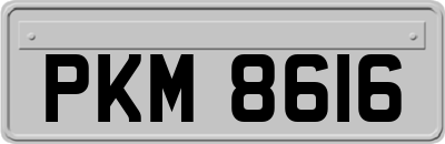 PKM8616