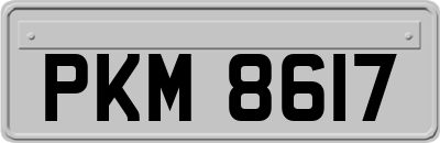 PKM8617