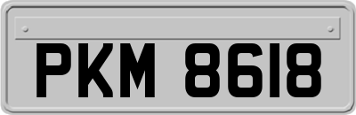 PKM8618